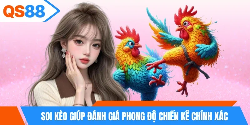 Soi kèo giúp đánh giá phong độ chiến kê chính xác