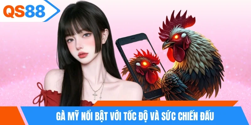 Gà Mỹ nổi bật với tốc độ và sức chiến đấu
