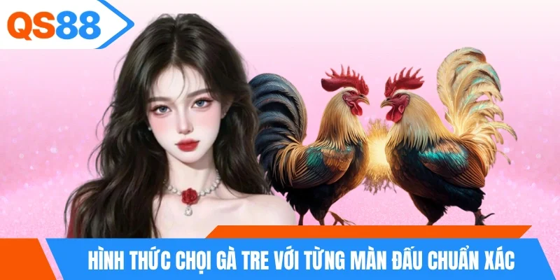 Hình thức chọi gà tre với từng màn đấu chuẩn xác