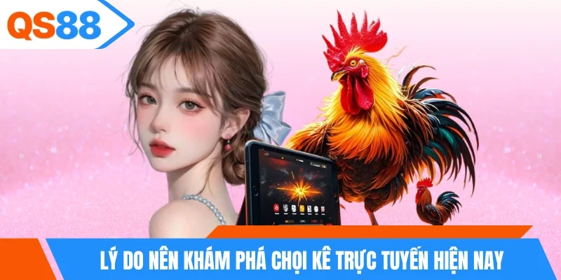 Lý do nên khám phá chọi kê trực tuyến hiện nay