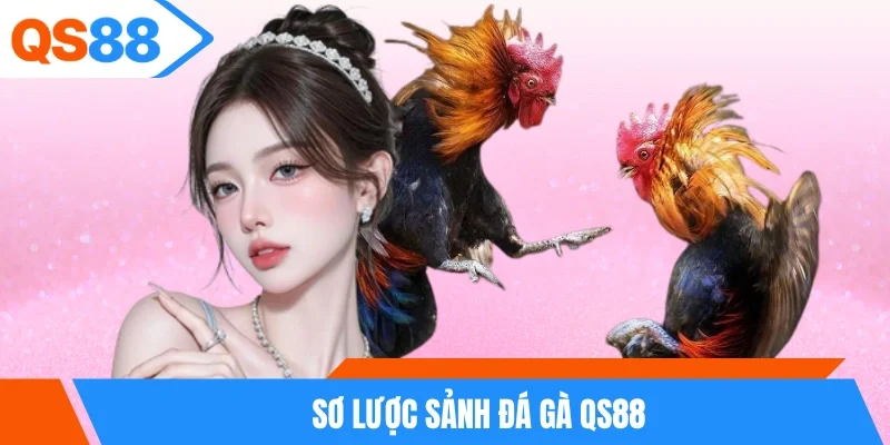 Sơ lược sảnh đá gà QS88