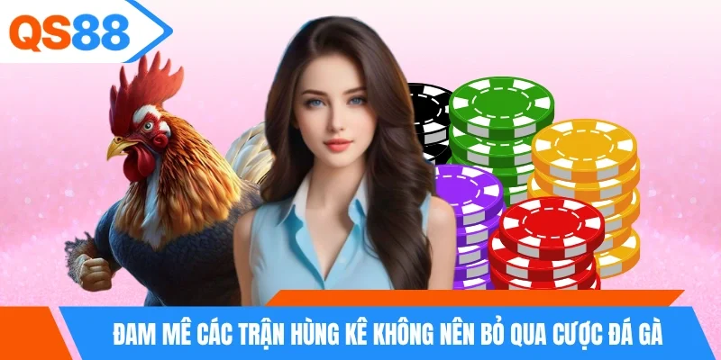 Đam mê các trận hùng kê không nên bỏ qua cược đá gà